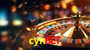 Security Systems cynbet